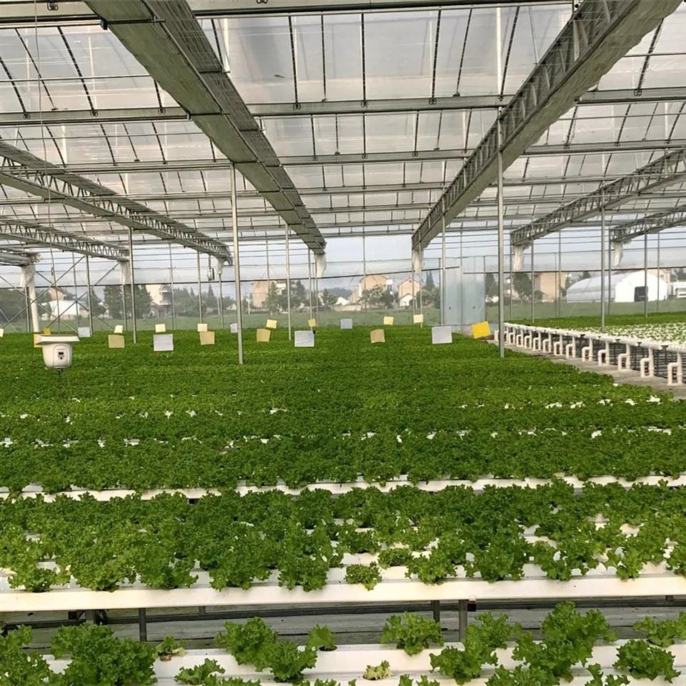 Greenhouse NFT System
